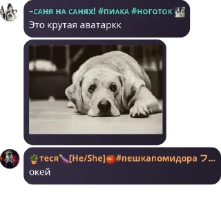🔶 emoji Школа отчаяния pack by @QuotLyBot Telegram sticker 11 of 54