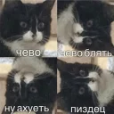 🙀 emoji Кайдятник — @stckrRobot Telegram sticker 9 of 76
