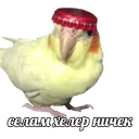 ✋ emoji Кайдятник — @stckrRobot Telegram sticker 23 of 76
