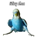 👊 emoji Кайдятник — @stckrRobot Telegram sticker 24 of 76