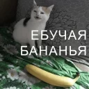 🍌 emoji Кайдятник — @stckrRobot Telegram sticker 1 of 76