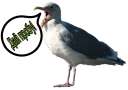 🐦 emoji Кайдятник — @stckrRobot Telegram sticker 17 of 76
