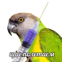 🤡 emoji Кайдятник — @stckrRobot Telegram sticker 4 of 76