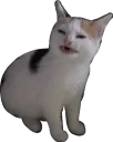 😖 emoji Кайдятник — @stckrRobot Telegram sticker 20 of 76