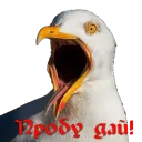 🐦 emoji Кайдятник — @stckrRobot Telegram sticker 18 of 76