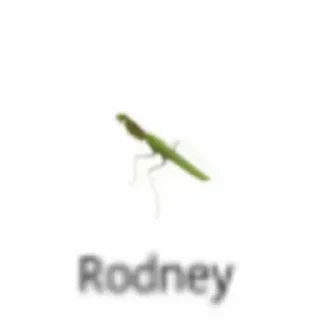 🐞 emoji Больше стикеров 👉🏻 @stickertg4 Telegram sticker 23 of 45