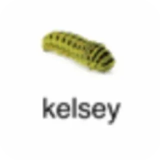 🐞 emoji Больше стикеров 👉🏻 @stickertg4 Telegram sticker 13 of 45