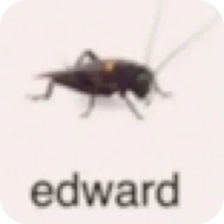 🐞 emoji Больше стикеров 👉🏻 @stickertg4 Telegram sticker 17 of 45