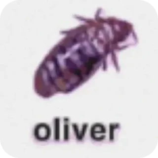 🐞 emoji Больше стикеров 👉🏻 @stickertg4 Telegram sticker 22 of 45