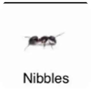 🐞 emoji Больше стикеров 👉🏻 @stickertg4 Telegram sticker 7 of 45