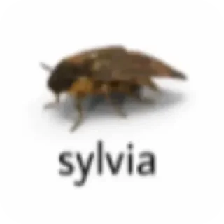 🐞 emoji Больше стикеров 👉🏻 @stickertg4 Telegram sticker 9 of 45