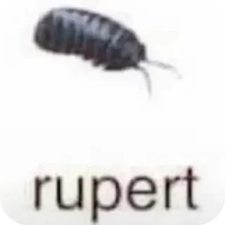 🐞 emoji Больше стикеров 👉🏻 @stickertg4 Telegram sticker 19 of 45