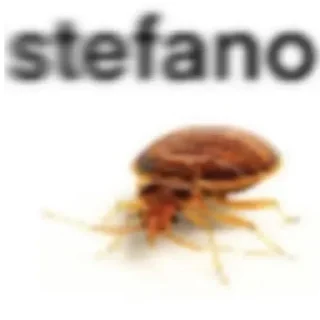 🐞 emoji Больше стикеров 👉🏻 @stickertg4 Telegram sticker 16 of 45