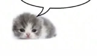 🐱 emoji Shiza_shizi_shizika@l_awa_l Telegram sticker 10 of 105