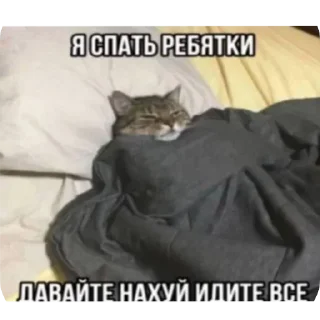 🐱 emoji Больше стикеров 👉🏻 @stickertg4 Telegram sticker 7 of 62