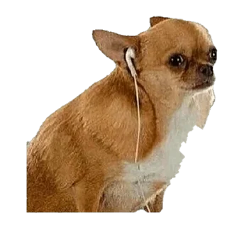 😔 emoji мои стикеры — @stckrRobot Telegram sticker 18 of 120