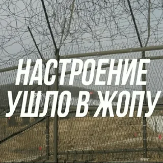 😔 emoji мои стикеры — @stckrRobot Telegram sticker 10 of 120