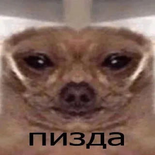 😑 emoji мои стикеры — @stckrRobot Telegram sticker 23 of 120