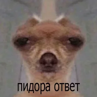 😶 emoji мои стикеры — @stckrRobot Telegram sticker 24 of 120
