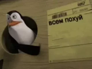🤨 emoji Больше стиков тут: @stickery_stickers Telegram sticker 19 of 48