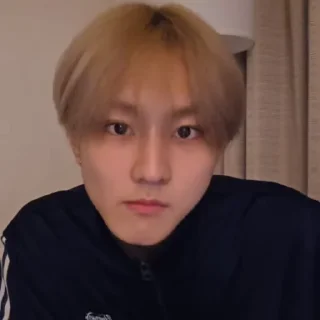 🐼 emoji @ArchiveForJungwon Telegram sticker 5 of 120