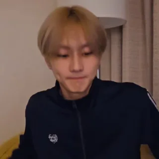 🐼 emoji @ArchiveForJungwon Telegram sticker 3 of 120