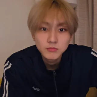 🐼 emoji @ArchiveForJungwon Telegram sticker 16 of 120