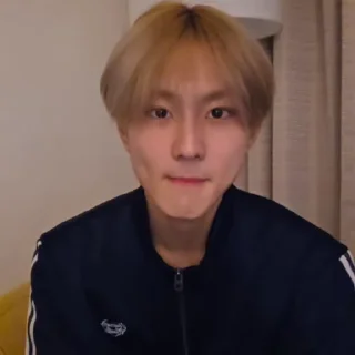 🐼 emoji @ArchiveForJungwon Telegram sticker 22 of 120