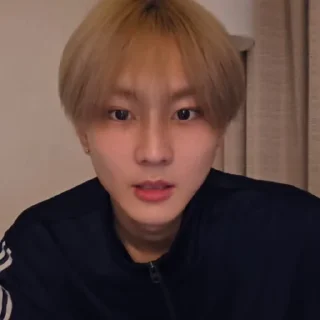 🐼 emoji @ArchiveForJungwon Telegram sticker 7 of 120
