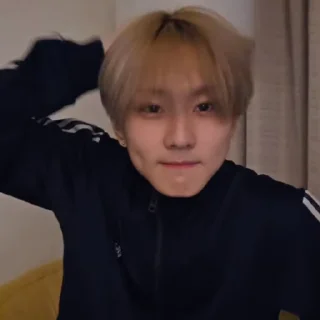 🐼 emoji @ArchiveForJungwon Telegram sticker 14 of 120