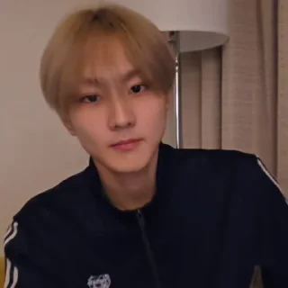 🐼 emoji @ArchiveForJungwon Telegram sticker 10 of 120