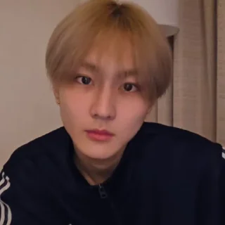 🐼 emoji @ArchiveForJungwon Telegram sticker 4 of 120