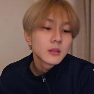 🐼 emoji @ArchiveForJungwon Telegram sticker 9 of 120
