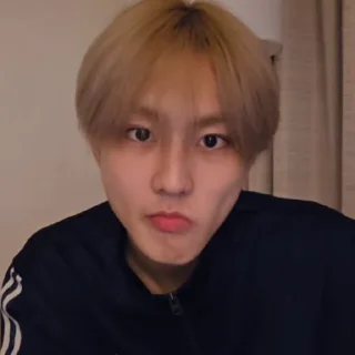🐼 emoji @ArchiveForJungwon Telegram sticker 6 of 120