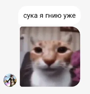 🌟 emoji MZG 13267 pack by @QuotLyBot Telegram sticker 1 of 120