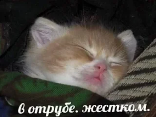 👍 emoji Я обозлен Telegram sticker 19 of 22