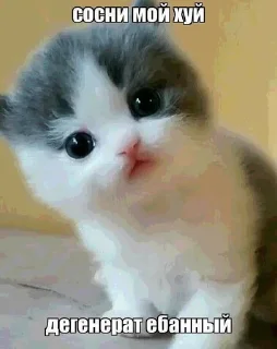 👍 emoji Я обозлен Telegram sticker 3 of 22