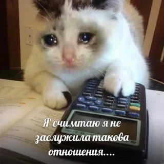 👍 emoji Я обозлен Telegram sticker 16 of 22