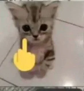 🖕 emoji Я обозлен Telegram sticker 4 of 22