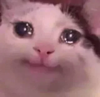 🥲 emoji Я обозлен Telegram sticker 13 of 22