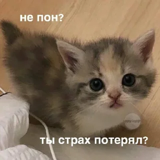 👍 emoji Я обозлен Telegram sticker 22 of 22