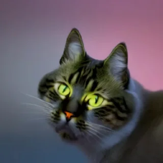 👍 emoji @sticksbb 🩷 <- канал со стиками Telegram sticker 9 of 27