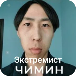 🤳 emoji КАМИНКА ОТ Liviix💥 @TgEmodziBot Telegram sticker 14 of 15