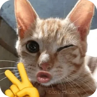 🫥 emoji MeowWw Telegram sticker 14 of 115
