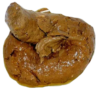 💩 emoji @wowrf govno Telegram sticker 16 of 40