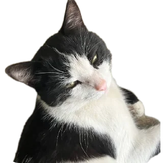 Sticker from ичкерия