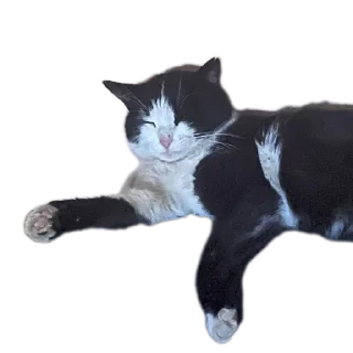 Sticker from ичкерия