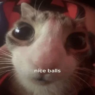 😍 emoji бля буду крабсбургером Telegram sticker 12 of 28