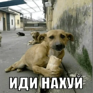 😡 emoji бля буду крабсбургером Telegram sticker 3 of 28