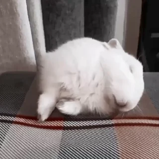 Sticker from Rabbits @TVstickers